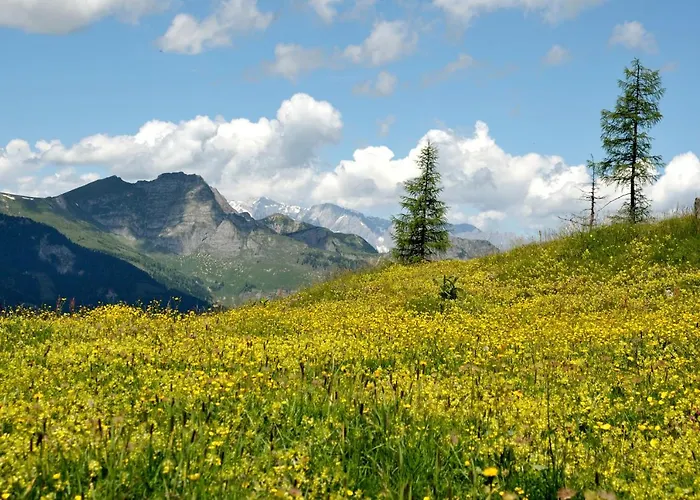 Jagdhof Gasthuis Grossarl